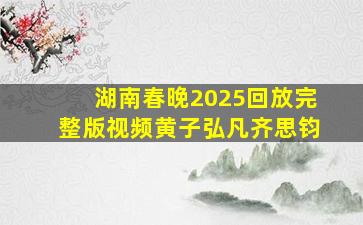 湖南春晚2025回放完整版视频黄子弘凡齐思钧