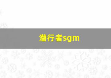 潜行者sgm