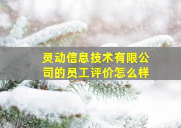 灵动信息技术有限公司的员工评价怎么样