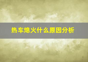 热车熄火什么原因分析