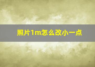 照片1m怎么改小一点