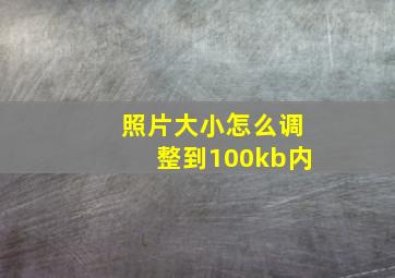 照片大小怎么调整到100kb内