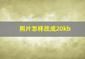 照片怎样改成20kb