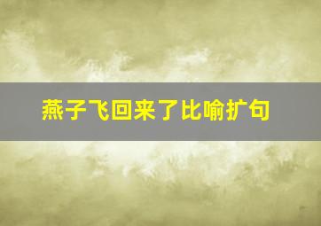 燕子飞回来了比喻扩句