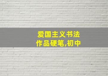 爱国主义书法作品硬笔,初中