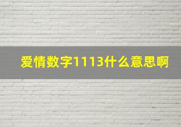 爱情数字1113什么意思啊