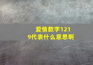 爱情数字1219代表什么意思啊