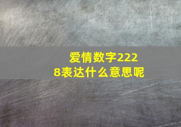 爱情数字2228表达什么意思呢