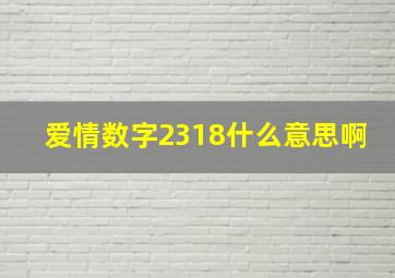 爱情数字2318什么意思啊