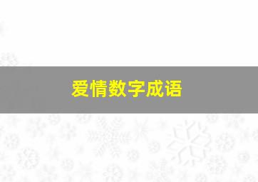 爱情数字成语