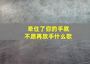 牵住了你的手就不愿再放手什么歌