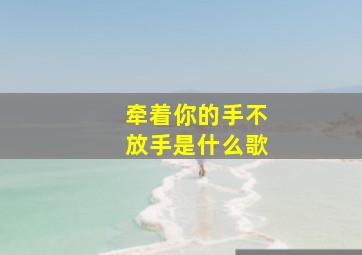 牵着你的手不放手是什么歌