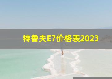 特鲁夫E7价格表2023