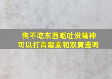 狗不吃东西呕吐没精神可以打青霉素和双黄连吗