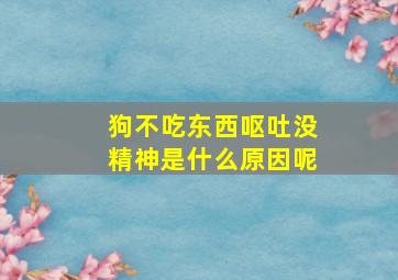 狗不吃东西呕吐没精神是什么原因呢