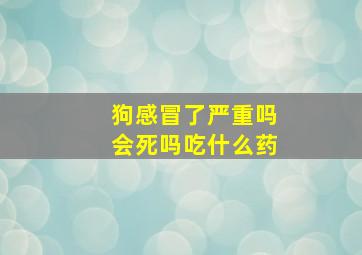 狗感冒了严重吗会死吗吃什么药