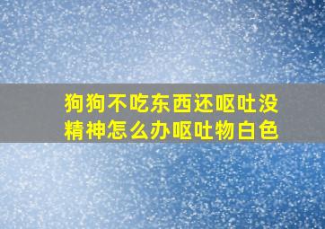 狗狗不吃东西还呕吐没精神怎么办呕吐物白色