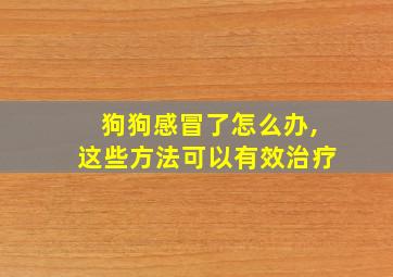 狗狗感冒了怎么办,这些方法可以有效治疗