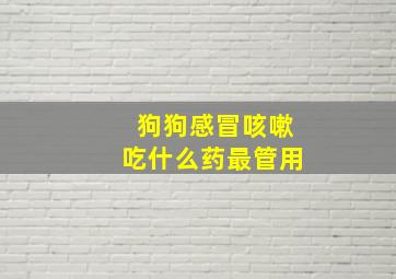 狗狗感冒咳嗽吃什么药最管用