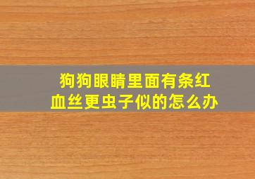 狗狗眼睛里面有条红血丝更虫子似的怎么办