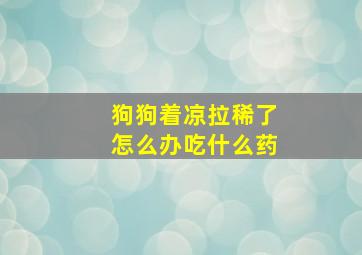 狗狗着凉拉稀了怎么办吃什么药