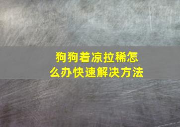 狗狗着凉拉稀怎么办快速解决方法