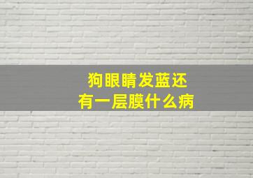 狗眼睛发蓝还有一层膜什么病