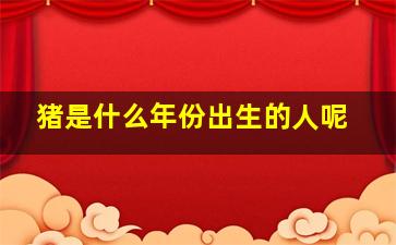 猪是什么年份出生的人呢