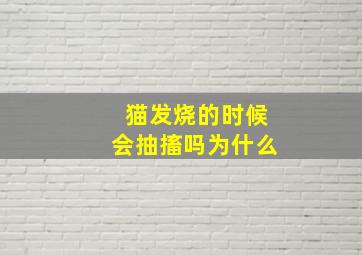 猫发烧的时候会抽搐吗为什么