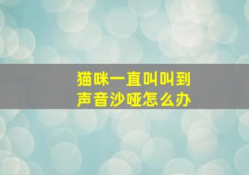 猫咪一直叫叫到声音沙哑怎么办