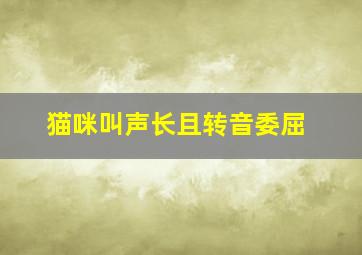 猫咪叫声长且转音委屈