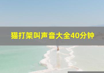 猫打架叫声音大全40分钟