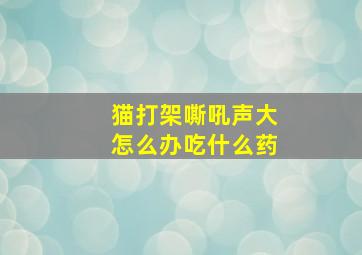 猫打架嘶吼声大怎么办吃什么药