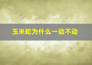 玉米蛇为什么一动不动