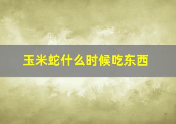 玉米蛇什么时候吃东西