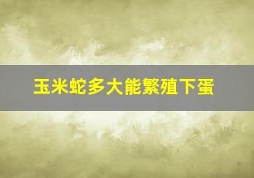 玉米蛇多大能繁殖下蛋