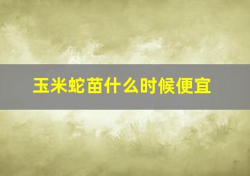 玉米蛇苗什么时候便宜