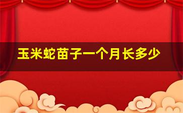 玉米蛇苗子一个月长多少