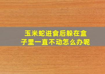 玉米蛇进食后躲在盒子里一直不动怎么办呢