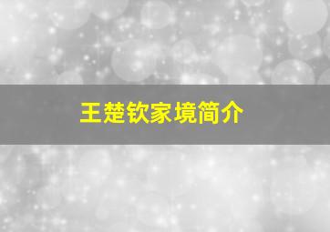 王楚钦家境简介