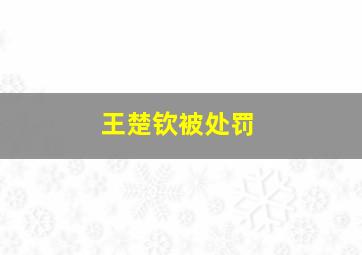 王楚钦被处罚