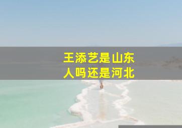 王添艺是山东人吗还是河北