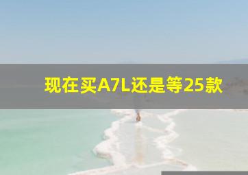 现在买A7L还是等25款