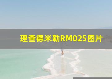 理查德米勒RM025图片