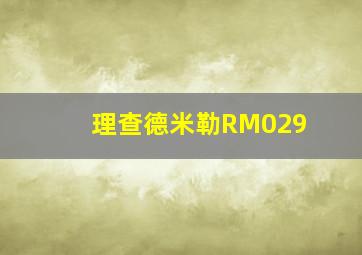 理查德米勒RM029