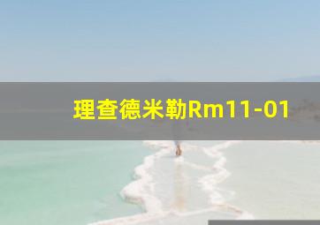 理查德米勒Rm11-01