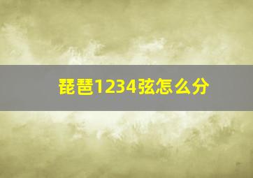 琵琶1234弦怎么分