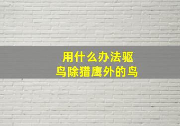 用什么办法驱鸟除猎鹰外的鸟