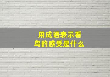 用成语表示看鸟的感受是什么