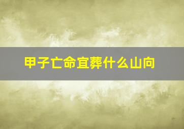 甲子亡命宜葬什么山向